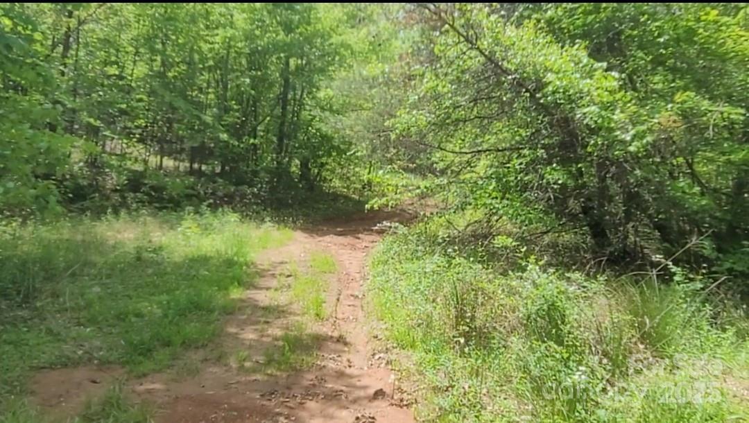 Property Photo: 3601 Big Level Road NC 28756