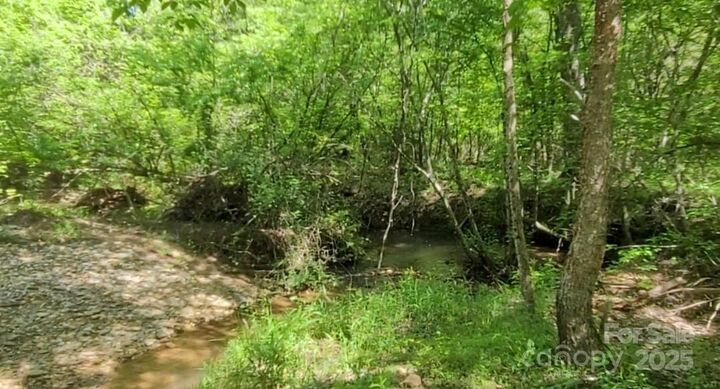 Property Photo: 0 Big Level Road NC 28756