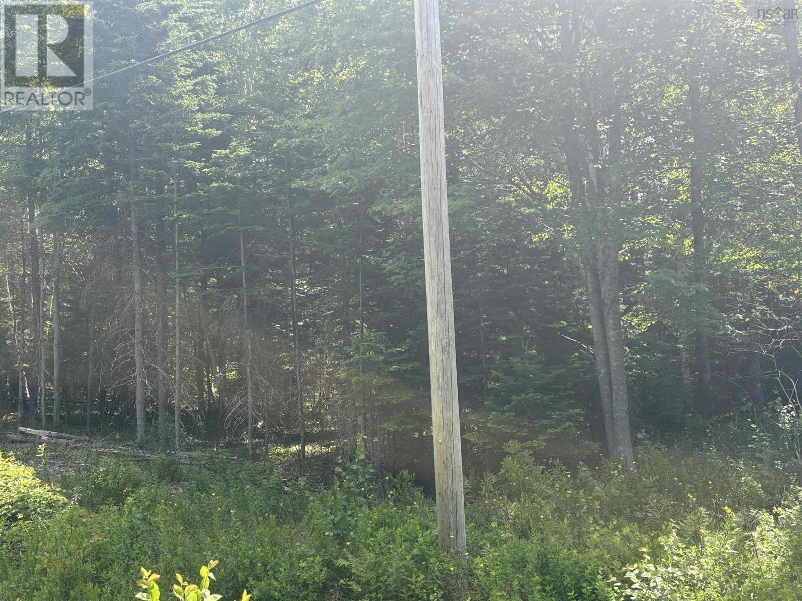 Property Photo:  Lot Beechmont Road  NS B2A 4K3 