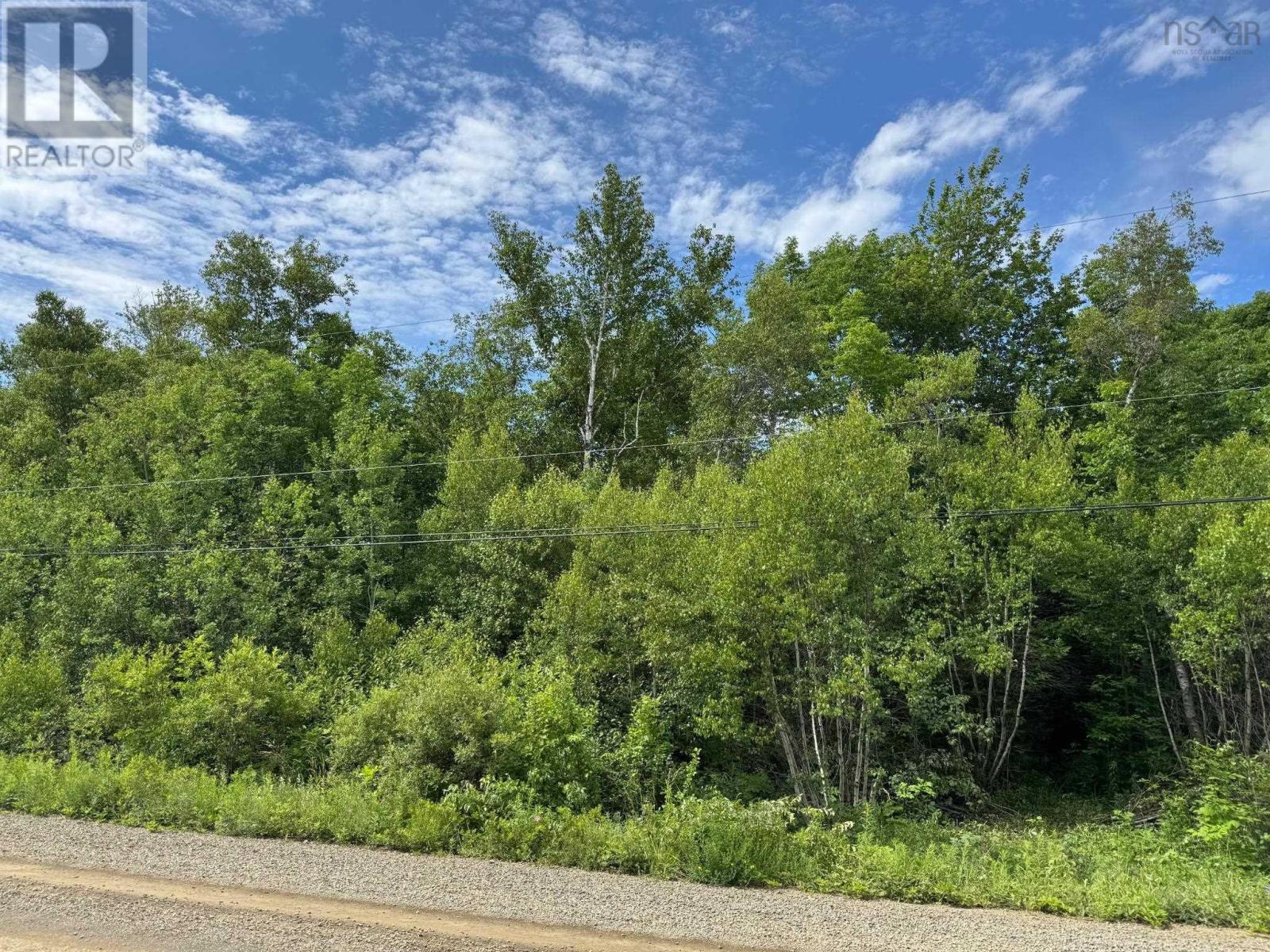 Property Photo:  Lot 2001 Long Beach Road  NS B0P 1H0 