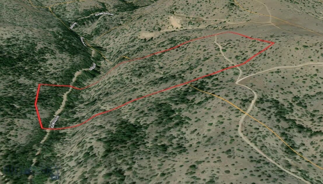 Property Photo: Tbd Keating Gulch Road MT 59641