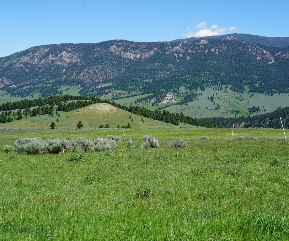 Property Photo: Tbd Timberloft MT 59716