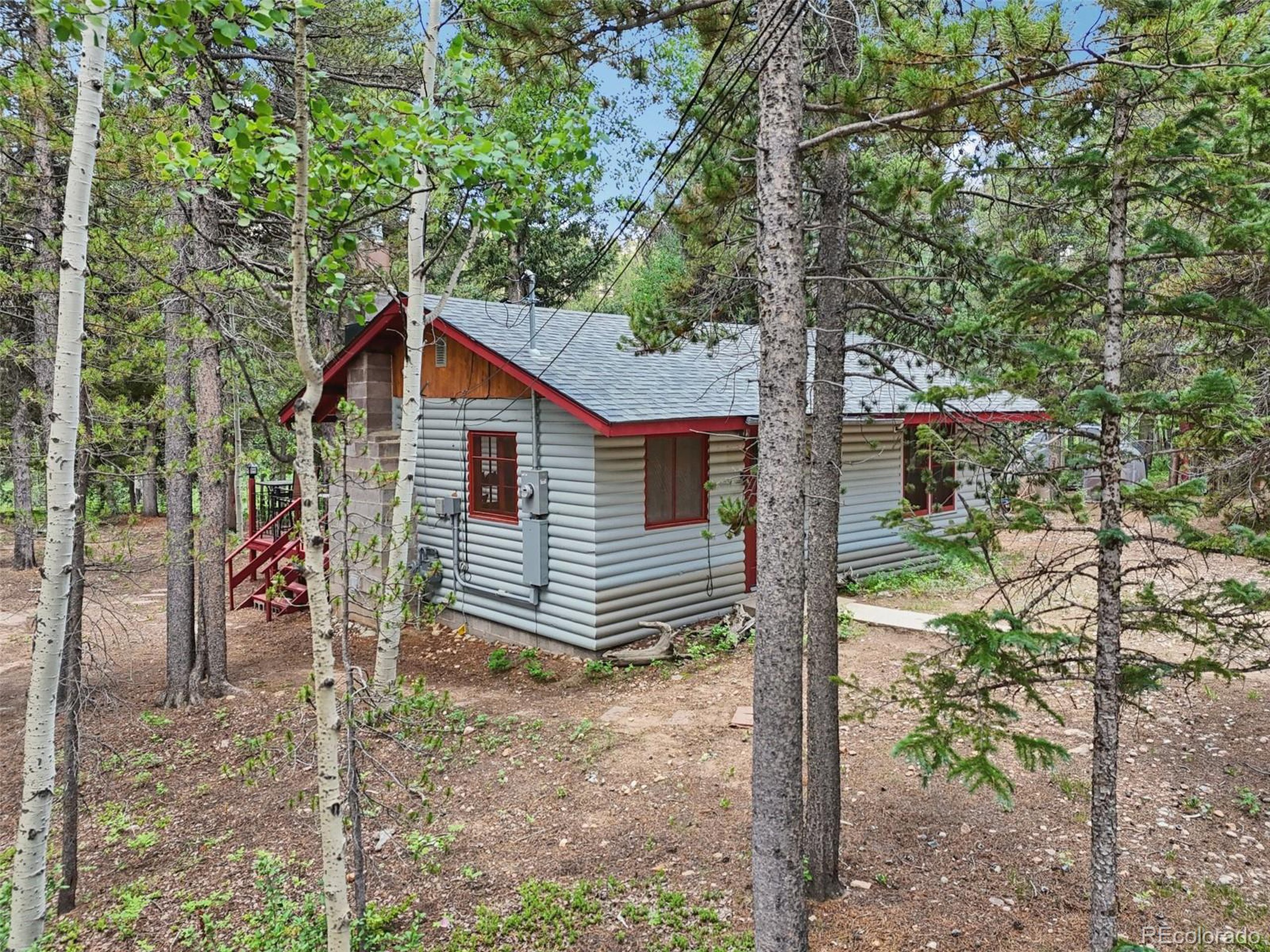 Property Photo: 21 Breezewood Ln CO 80422