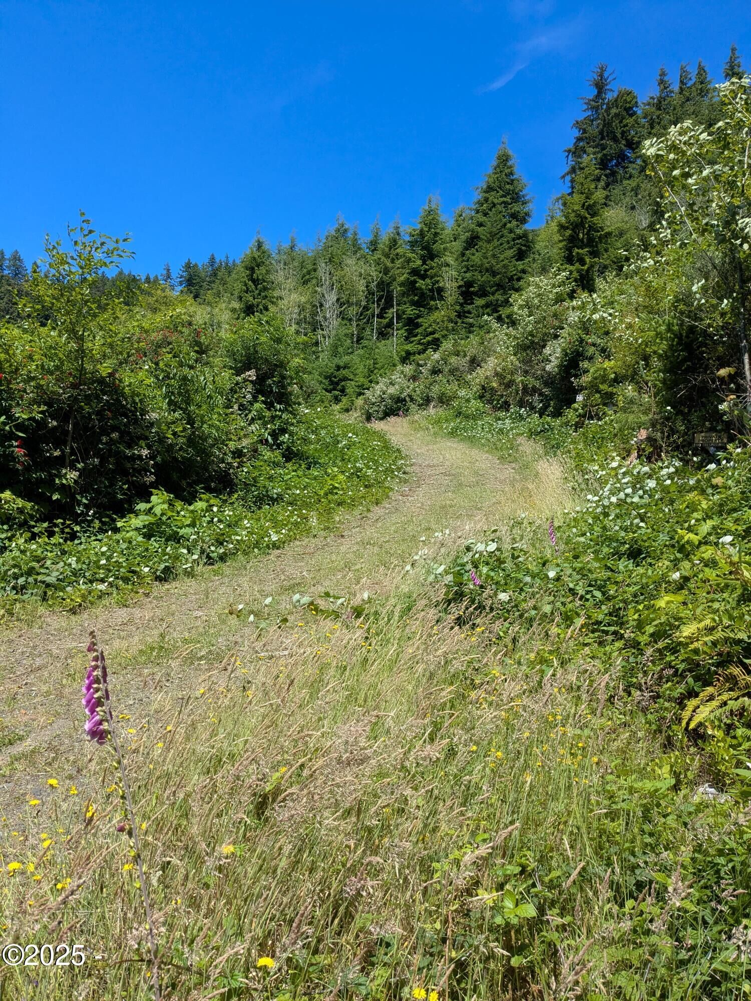 Property Photo: Tl 801 Siletz Highway OR 97367
