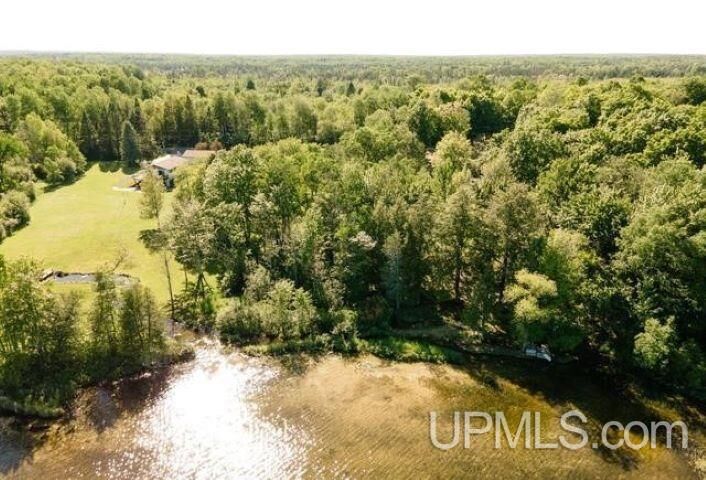 Property Photo:  Tbd W Sunset Lake Road  MI 49935 