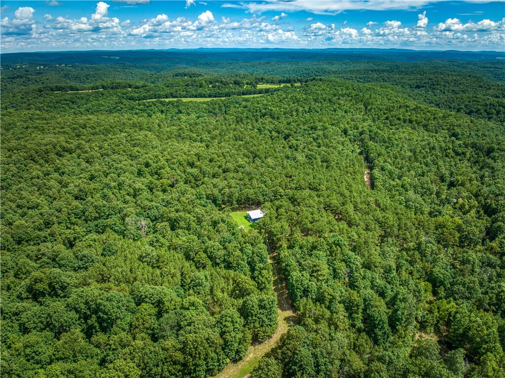 Property Photo: 190 Mc 6041 Road AR 72687