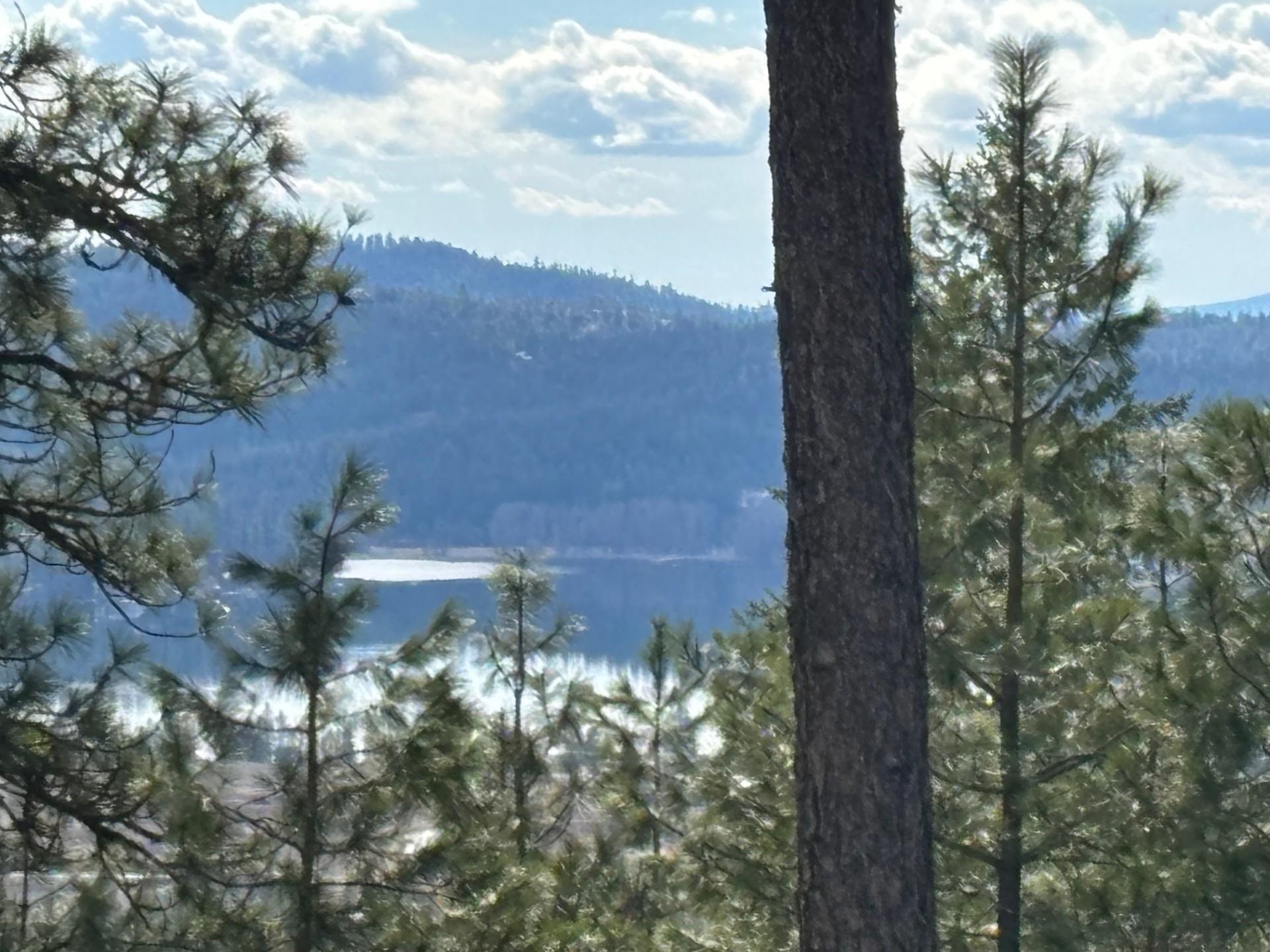 Property Photo: 4xxx Ali Vista Way WA 99148