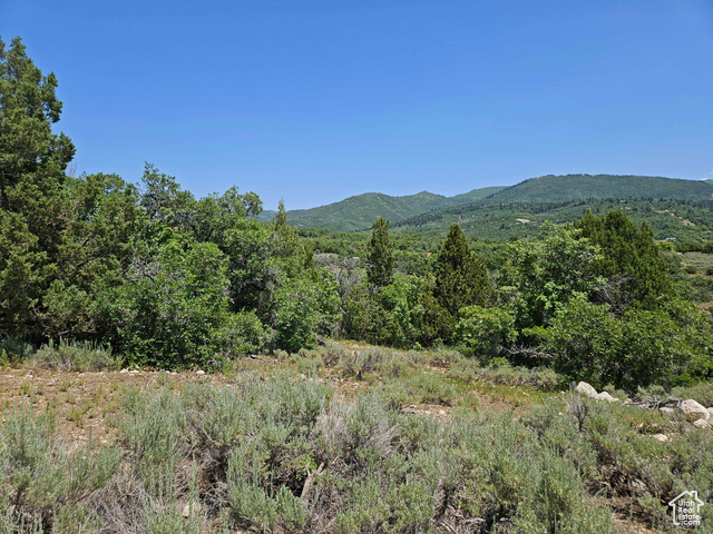 157 E Wolf Hollow Rd S 157  Fairview UT 84629 photo
