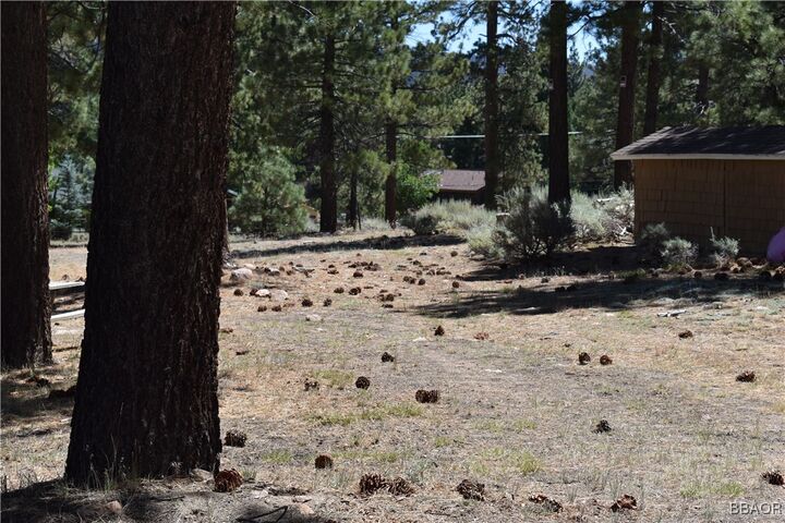 Property Photo:  0 Forest Road  CA 92315 