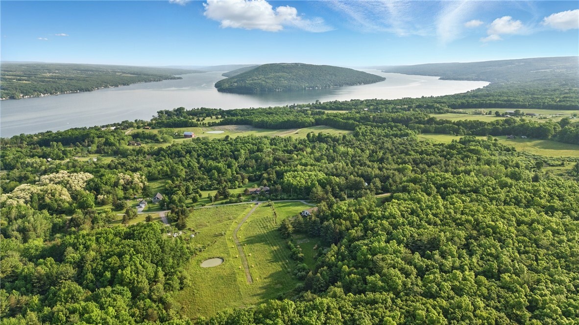 Property Photo:  9308 Keuka Highlands Drive  NY 14893 