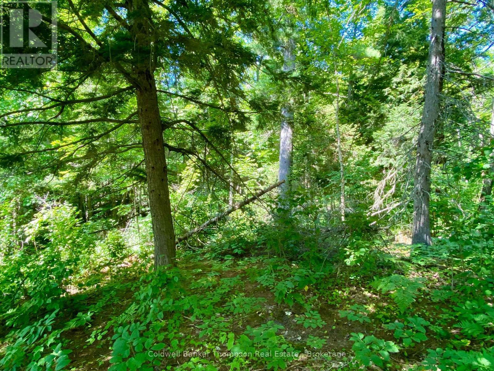 Property Photo: 0 North Conc. Rd 10 And 11 Corners North ON P0H 1A0