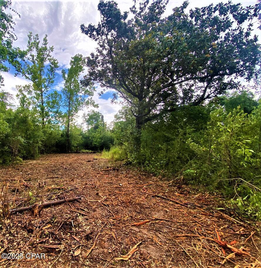 Property Photo: 0 Dogwood Street FL 32438