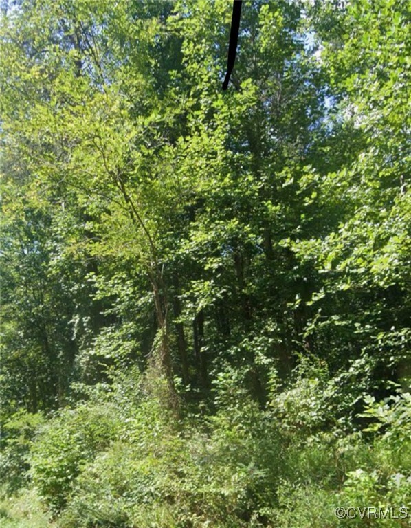 Property Photo: 0 New Line Road VA 23065