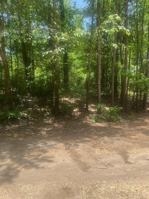 Property Photo: Lot 437 &Amp 438 Hidden Circle TX 77331