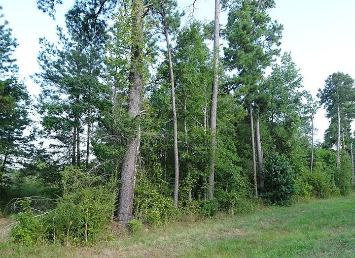 Property Photo:  1183/1249/1269 Fm 326  TX 75901 