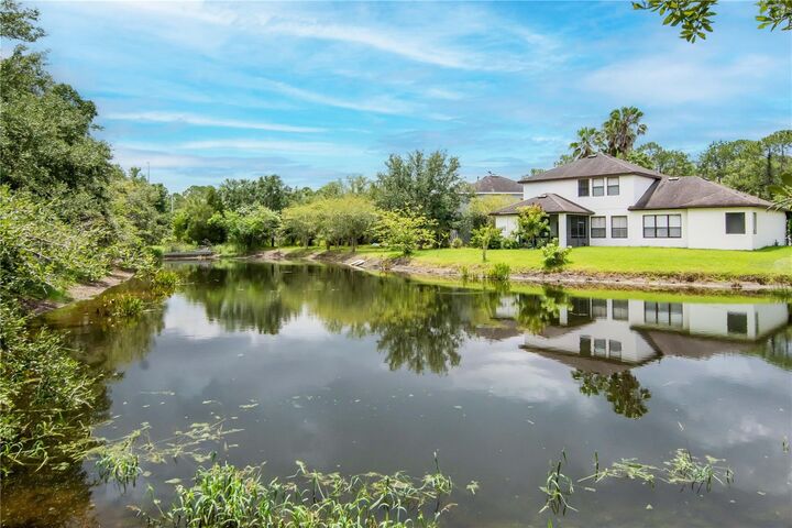 Property Photo: 16115 Colchester Palms Drive FL 33647