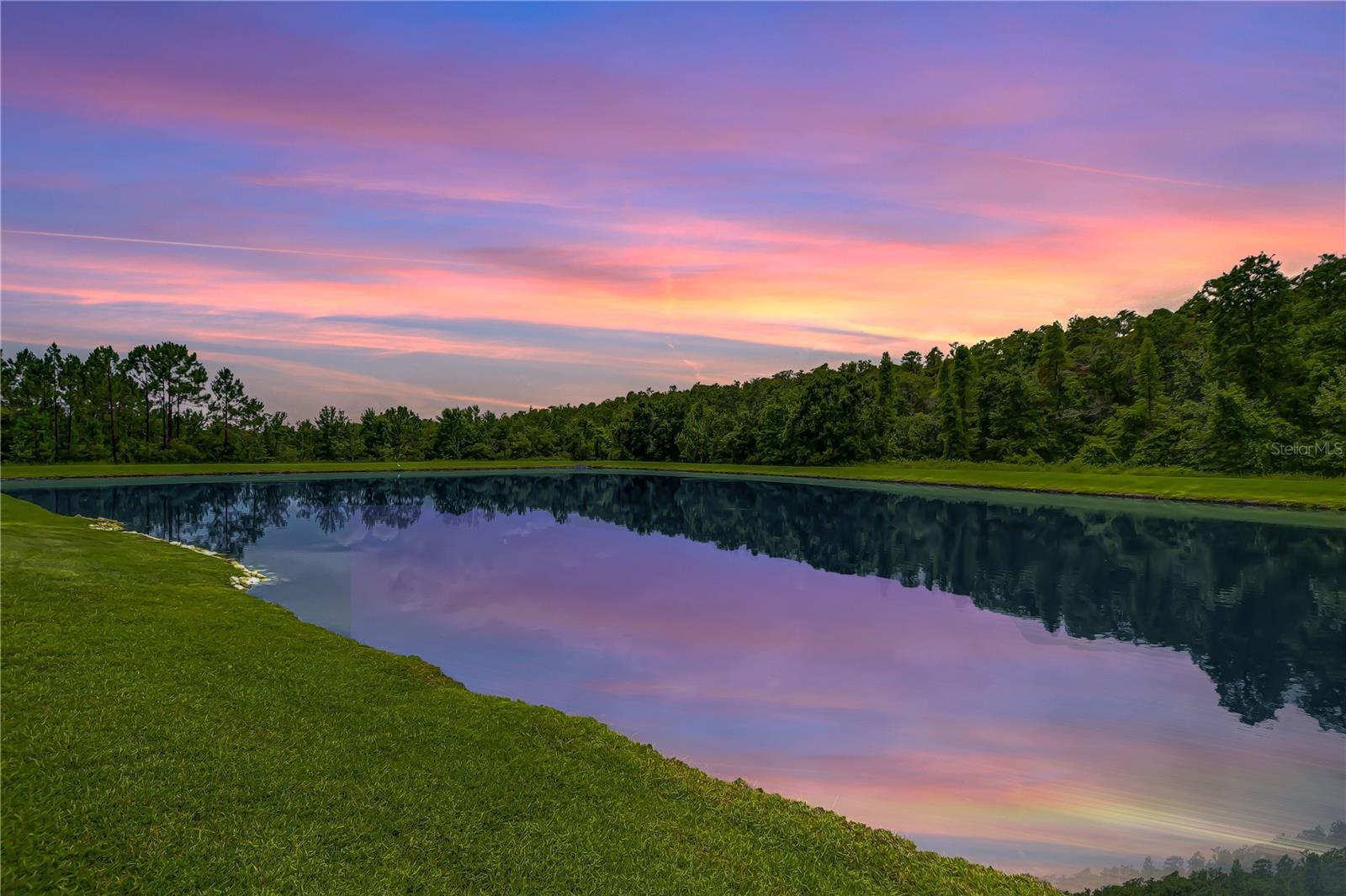 Property Photo:  2957 Hilliard Drive  FL 33543 