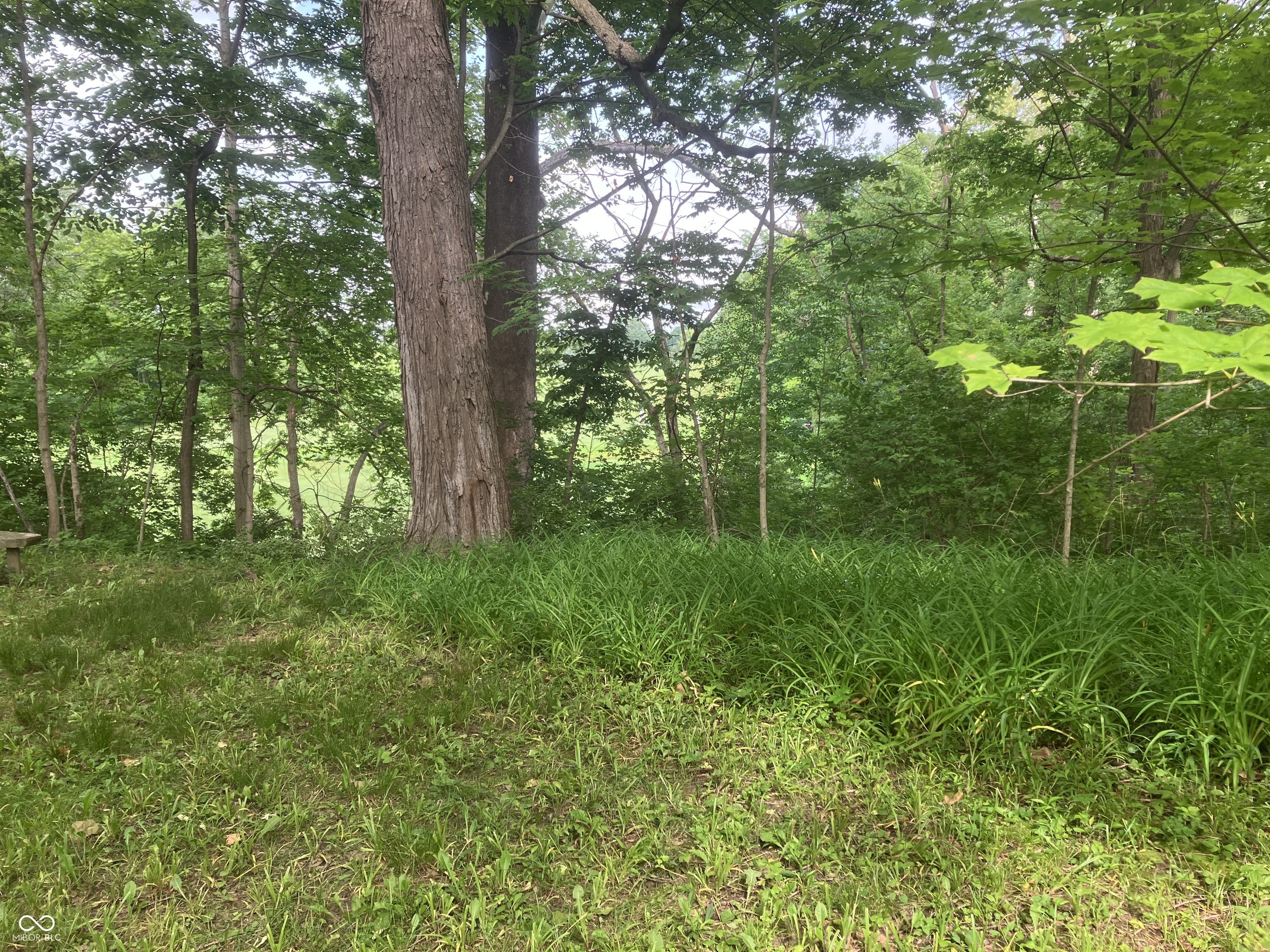 Property Photo: 11045 Westfield Boulevard IN 46280