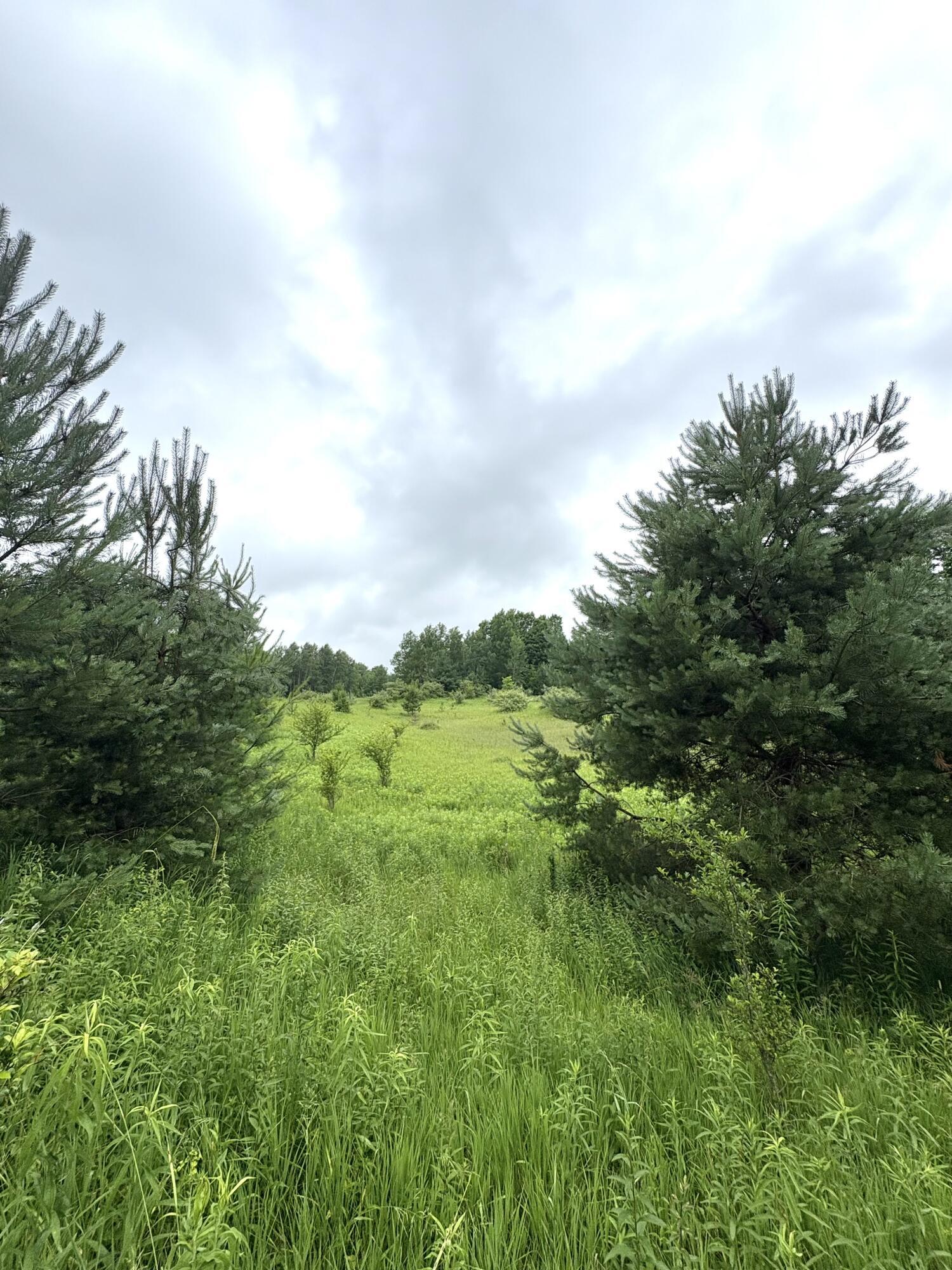 Property Photo: 00 Hewitt MI 49688