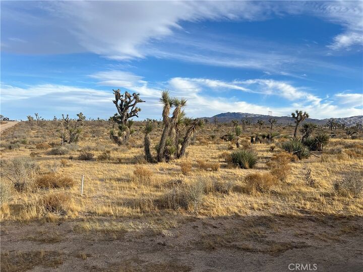 Property Photo: 23926 Poppy Road CA 92308