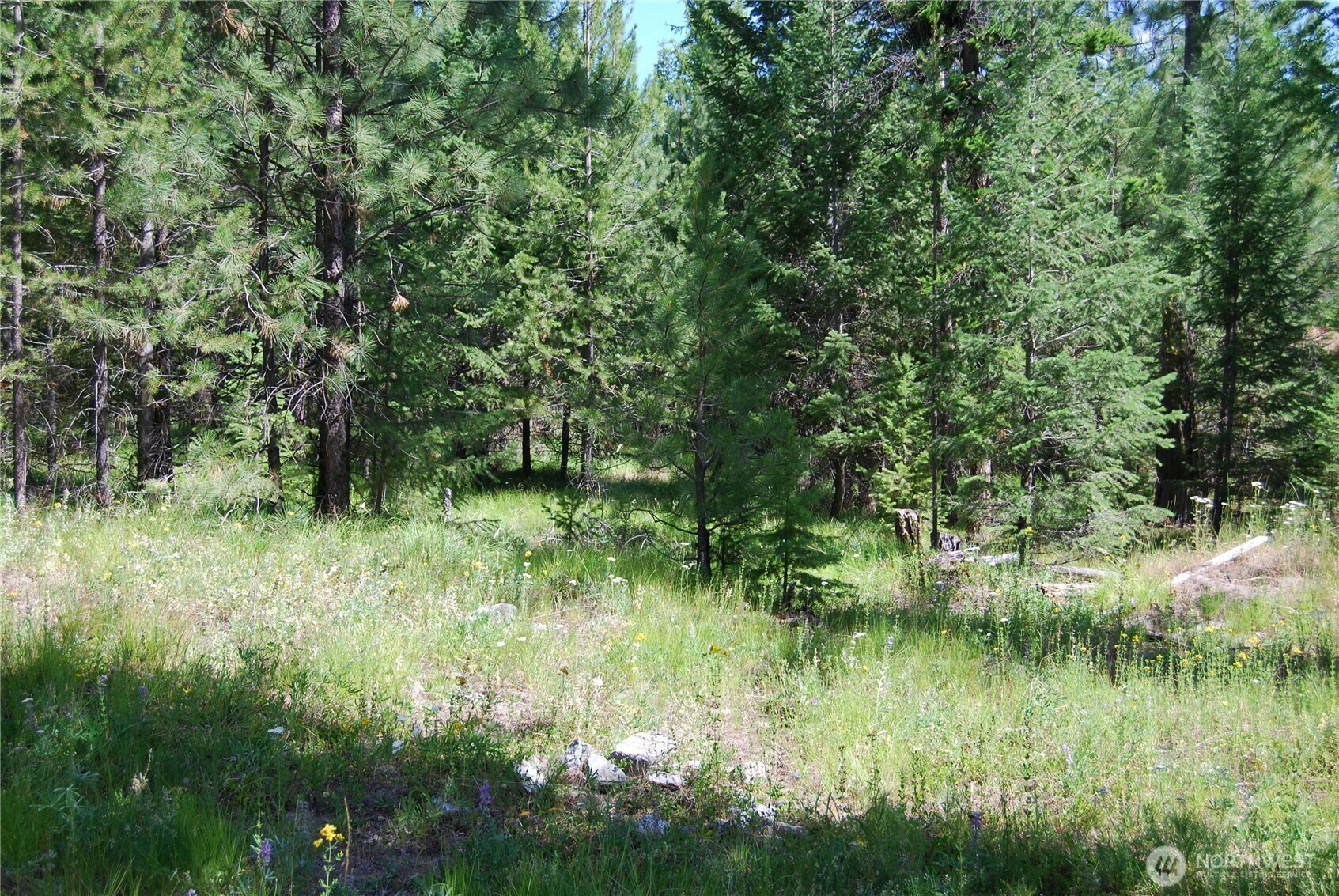 Property Photo: 30 -23 Wild Turkey WA 98849