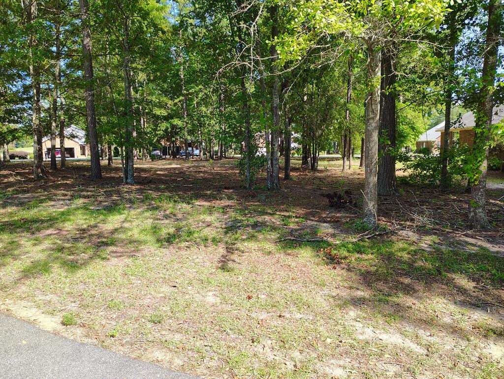 Property Photo: 821 Bentwood Circle SC 29102