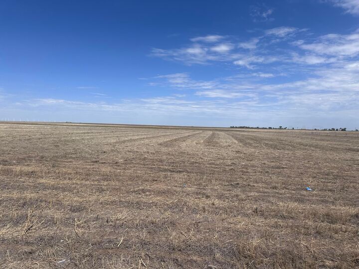 Property Photo:  Fm  2587  TX 79098