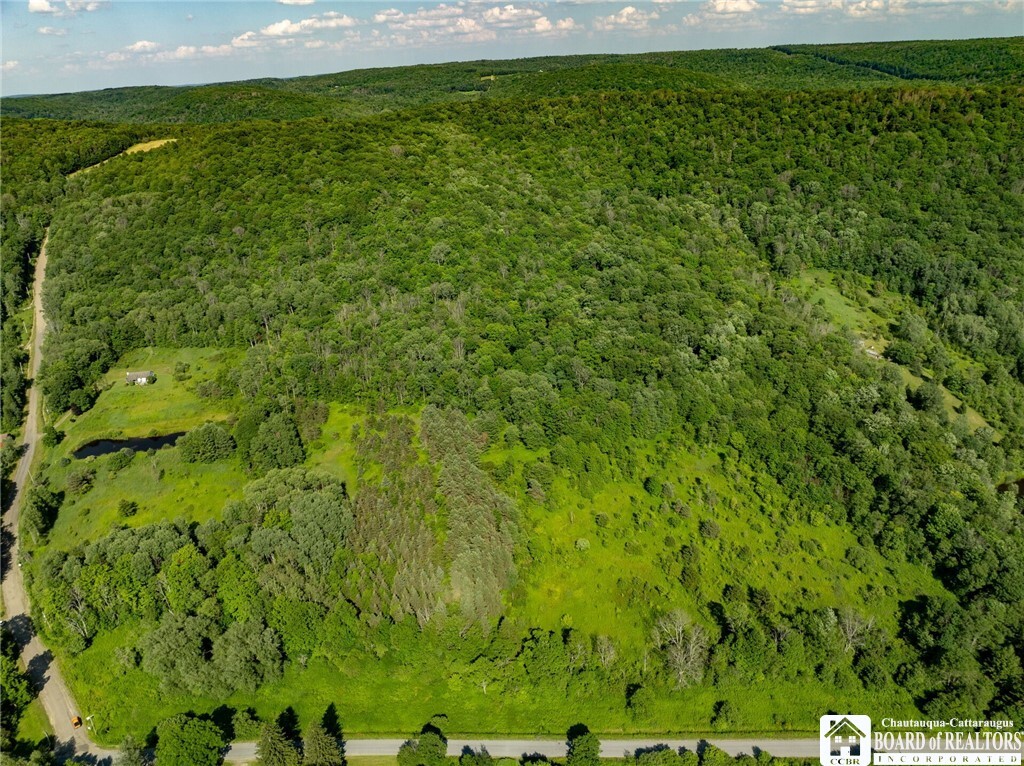 0 Morgan Hollow Road  Franklinville NY 14737 photo