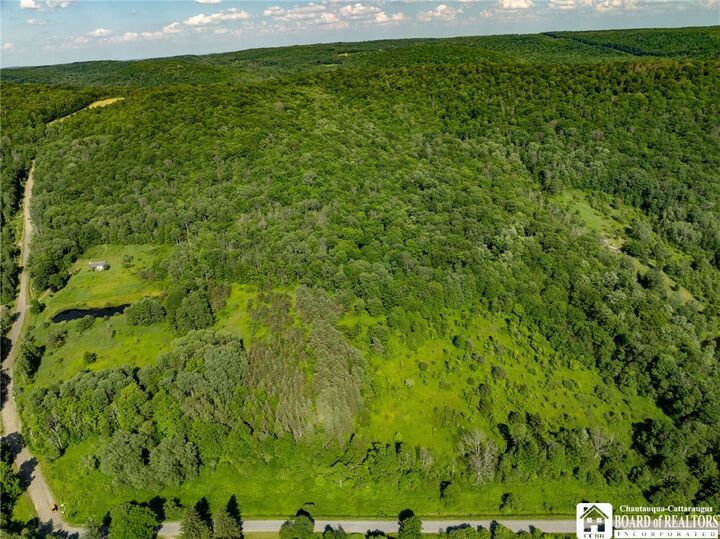 0 Morgan Hollow Road  Franklinville NY 14737 photo
