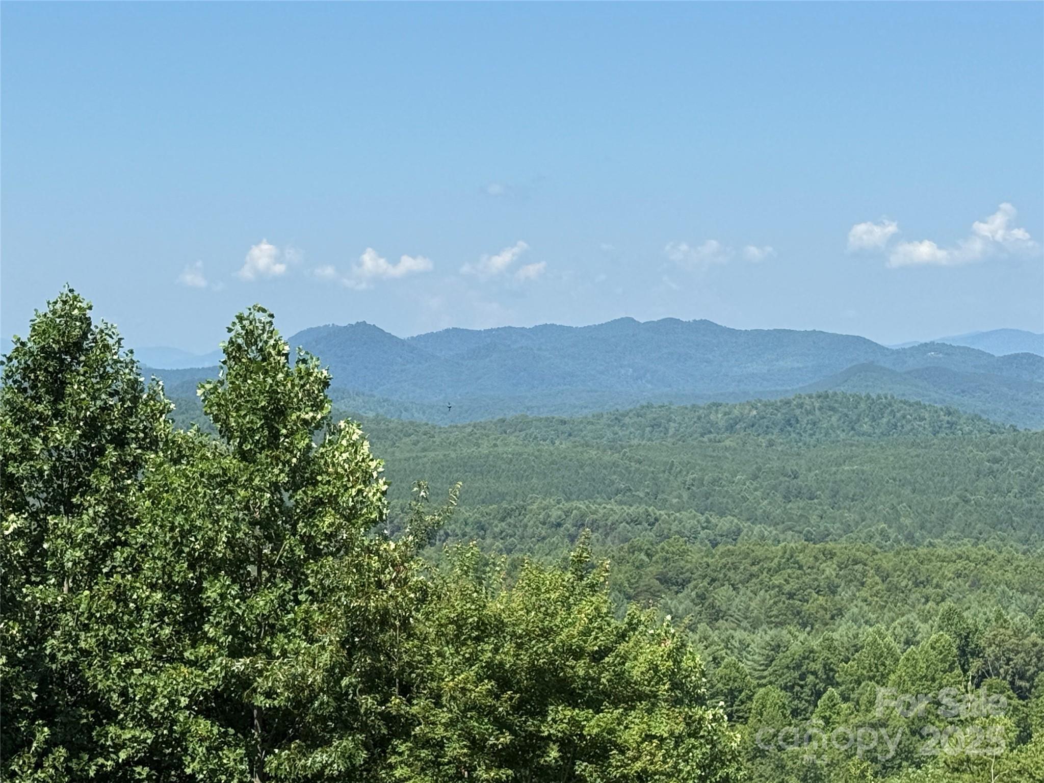0 Scenic Vista Drive 262  Nebo NC 28761 photo