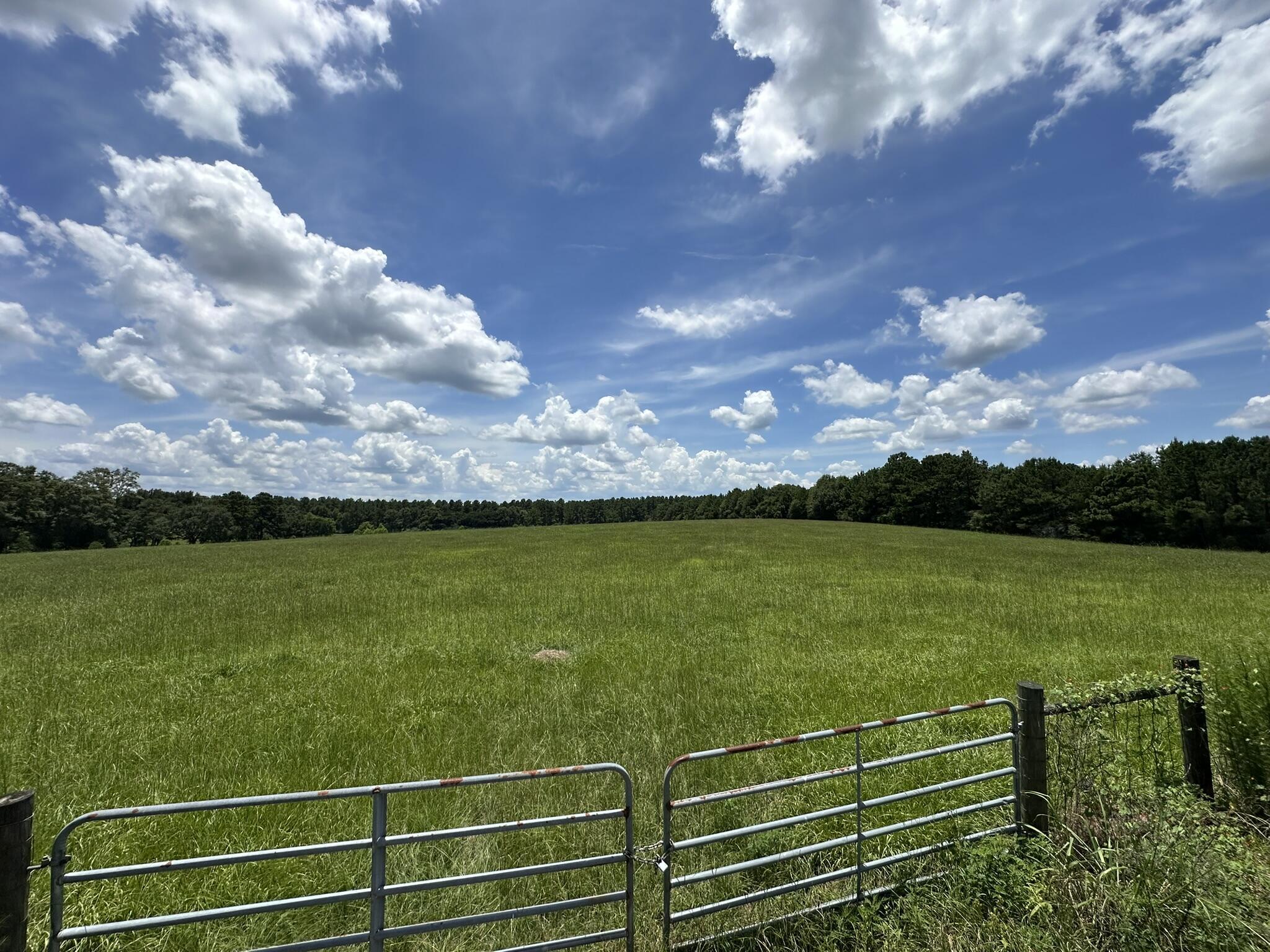Property Photo:  A & B Hub Presley Road  FL 32567 