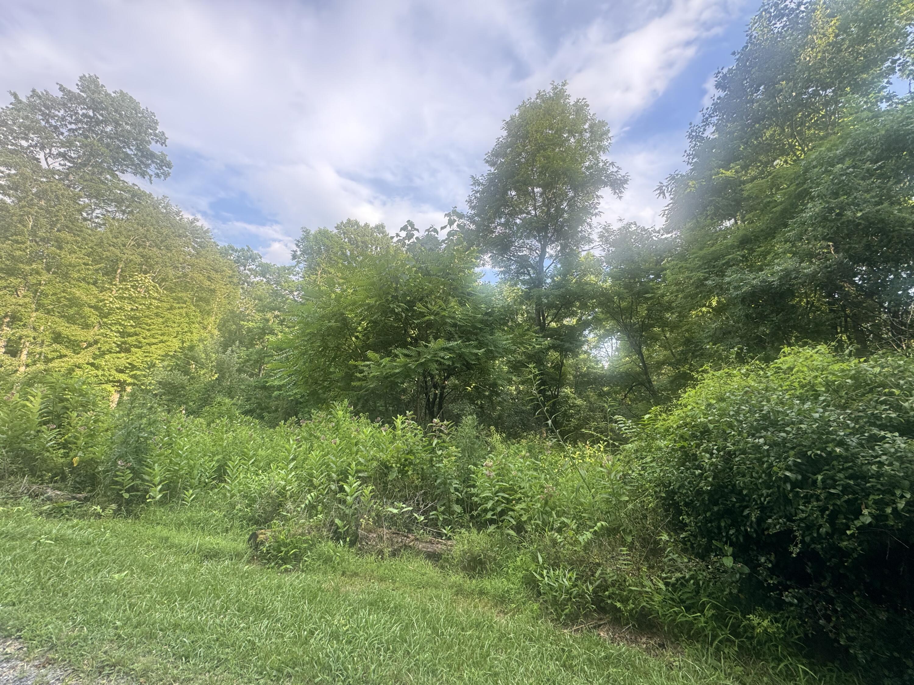 Property Photo: Irish Corner Rd WV 26651