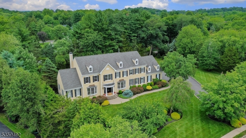 20 Squire Ct  Bernards Twp. NJ 07920 photo