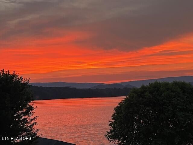 Property Photo:  433 Water View Drive  TN 37854 