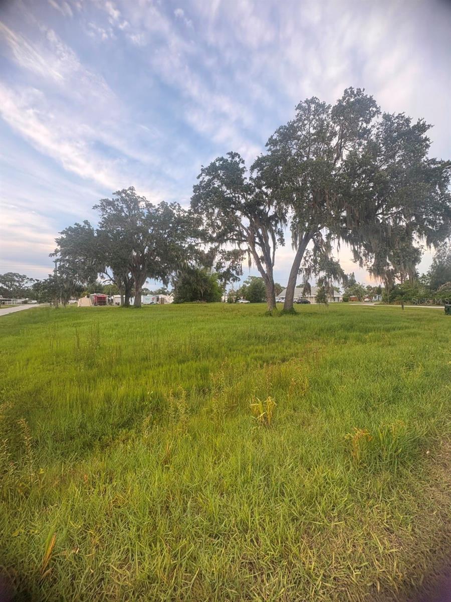 Property Photo:  211 2nd Avenue NW  FL 33570 