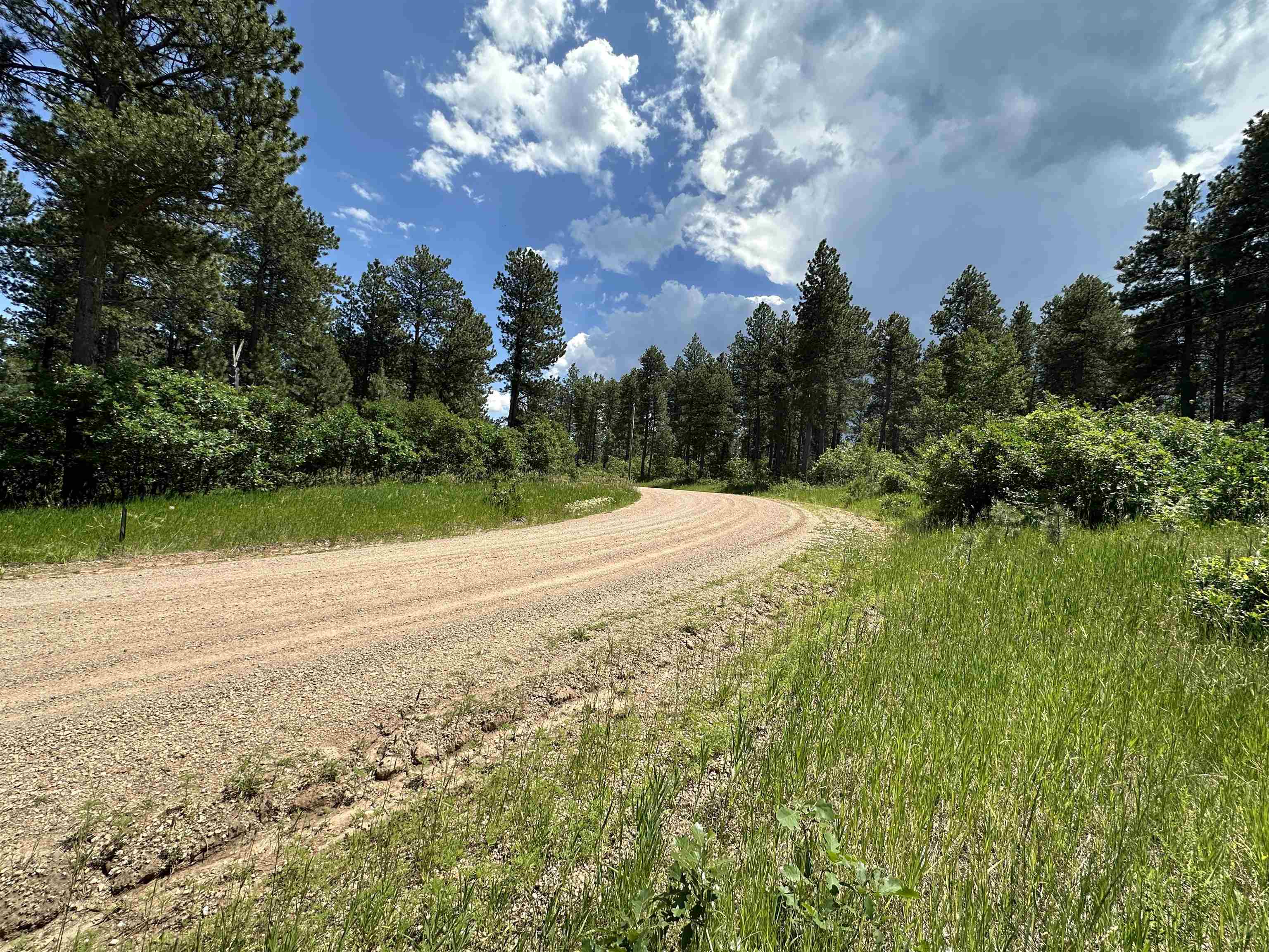 Property Photo:  Tbd Aster Road  SD 57783 