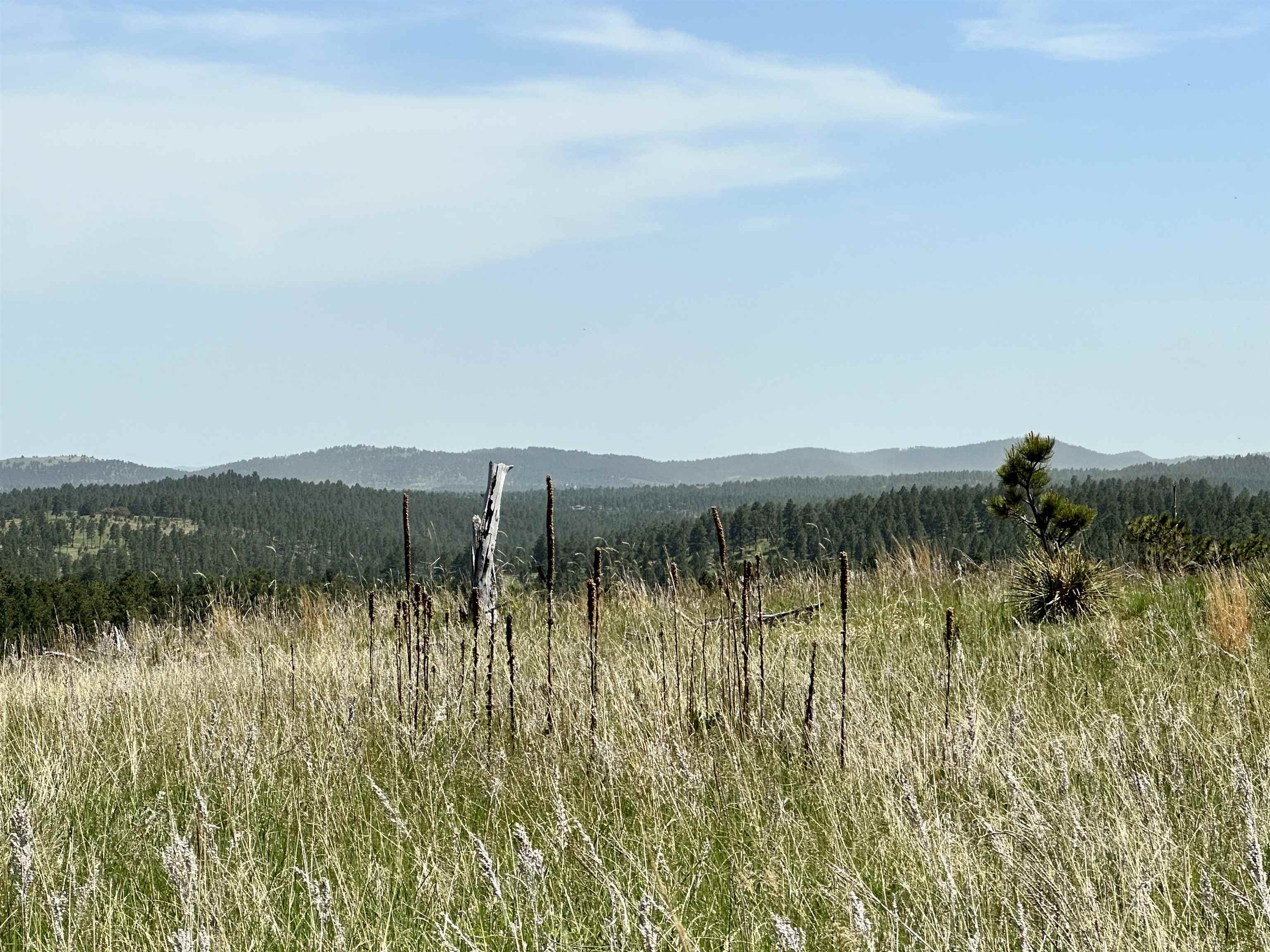 Property Photo:  Lot 3D Hwy 40  SD 57751 