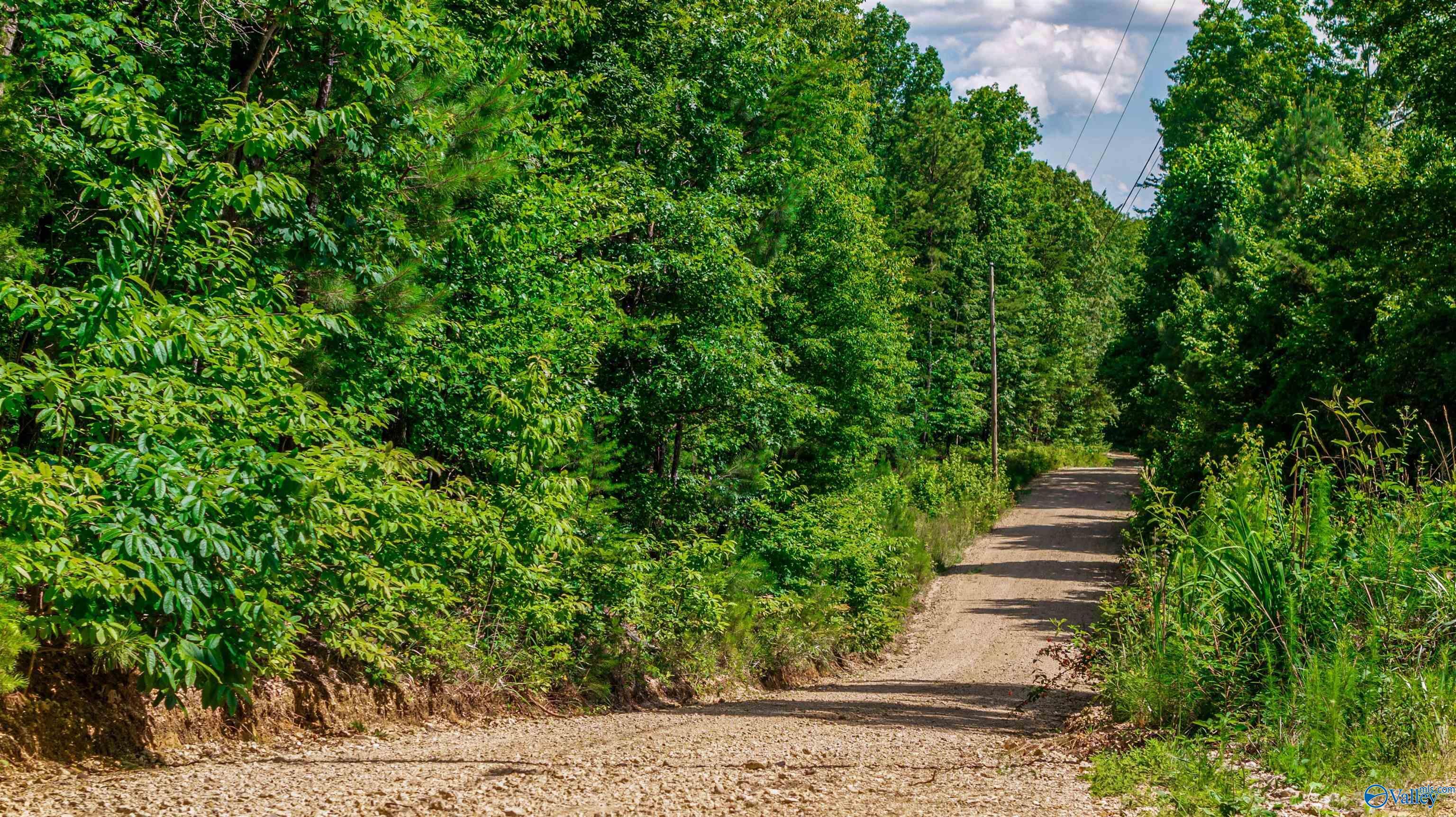 Property Photo: 429 A County Road 627 AL 35984