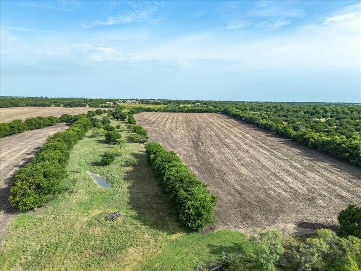 Photo de la propriété:  3506 County Road 1106  TX 76093 