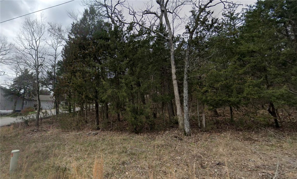 Property Photo:  198 Wild Turkey Drive  AR 72631 