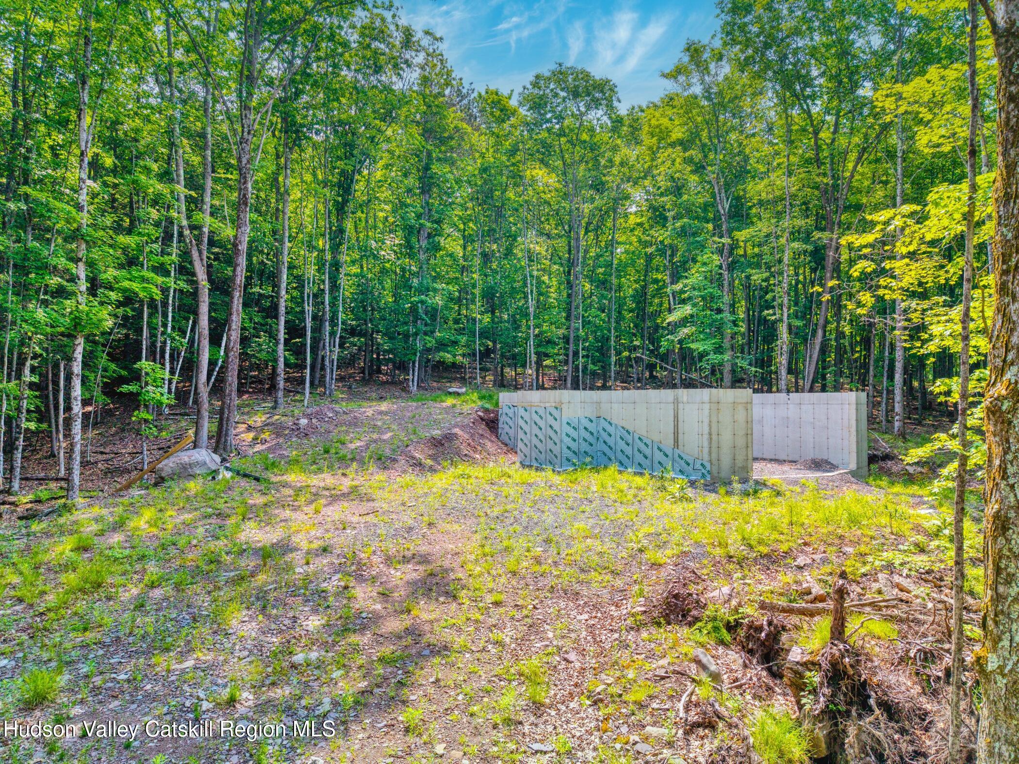 Property Photo: Tbd Boulder Brook Rd Lot 11 NY 12496