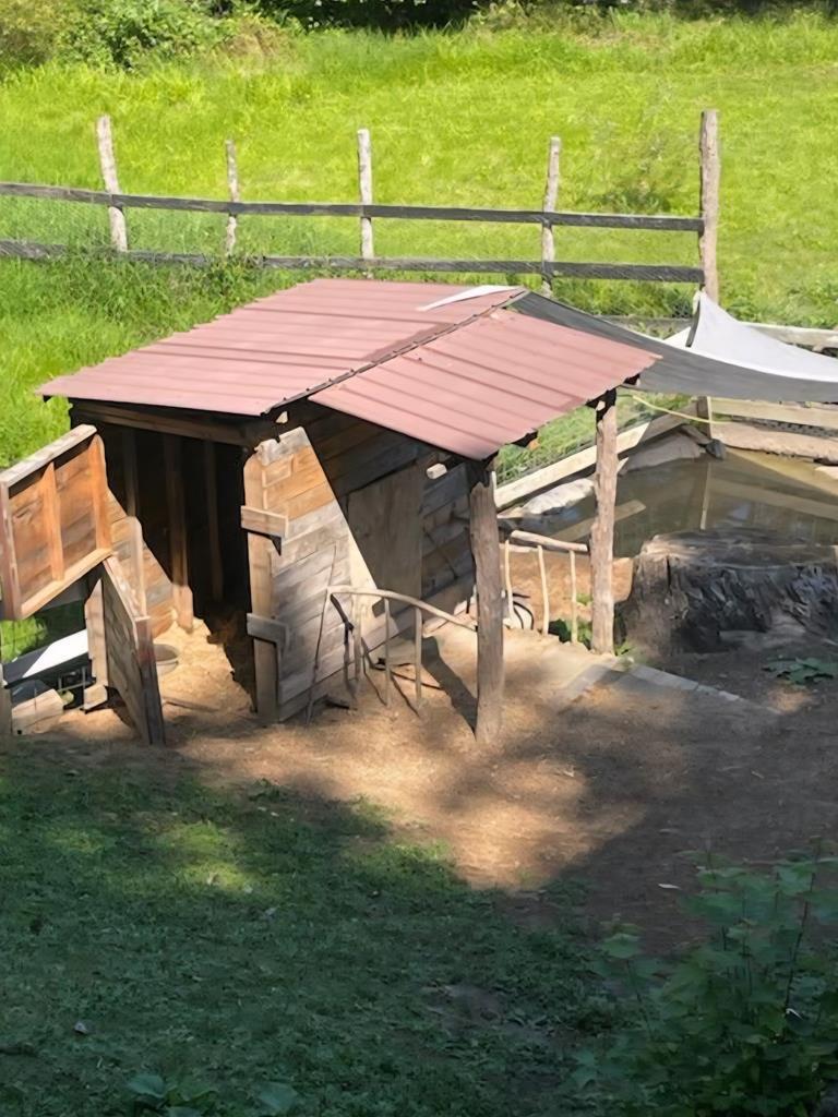 Property Photo:  223 Springdale Road  WV 25976 