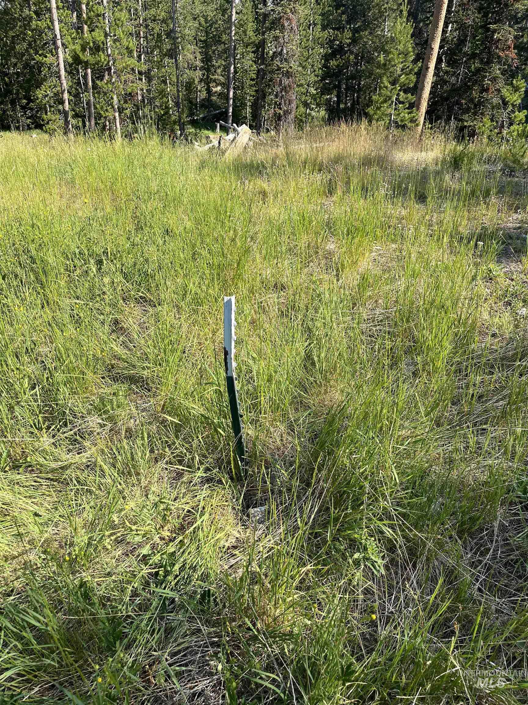 Property Photo: 773 Smiley Creek Rd ID 83340