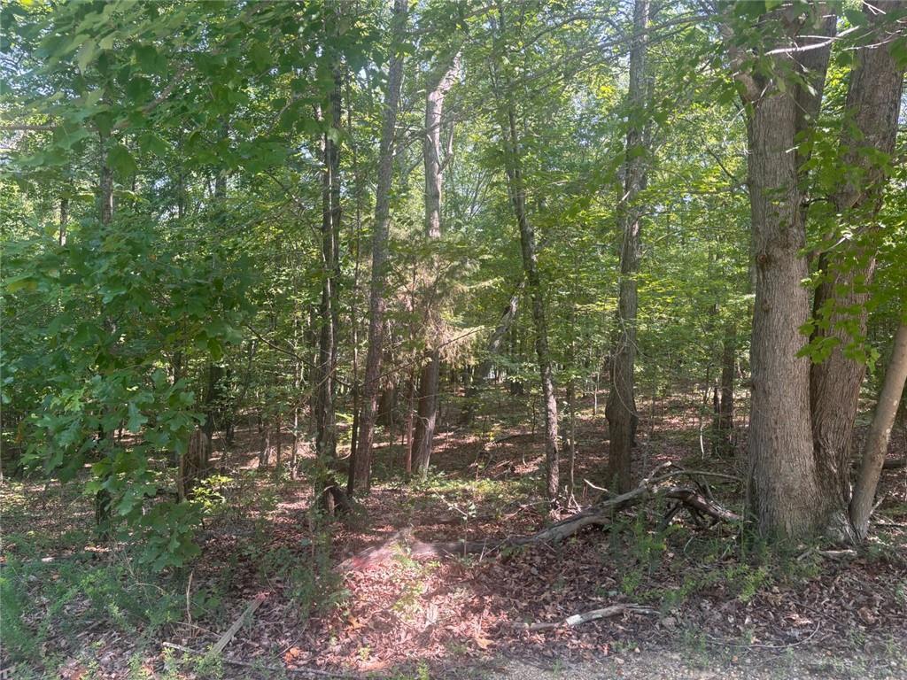 Property Photo: 13 Jewell Drive SE GA 30161