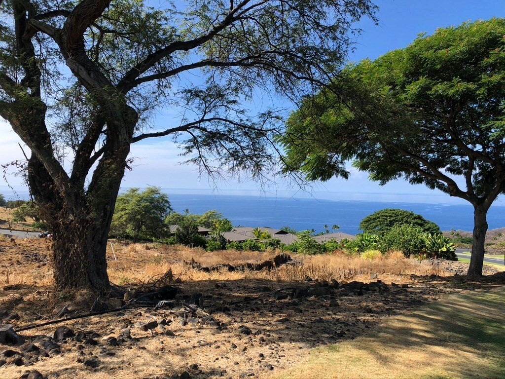 Property Photo: 81-6624 Hiaaiono Pl HI 96750