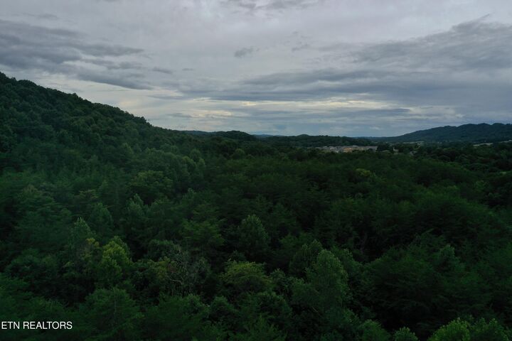 Property Photo:  66.48 Acres Milldale Rd  TN 37725 