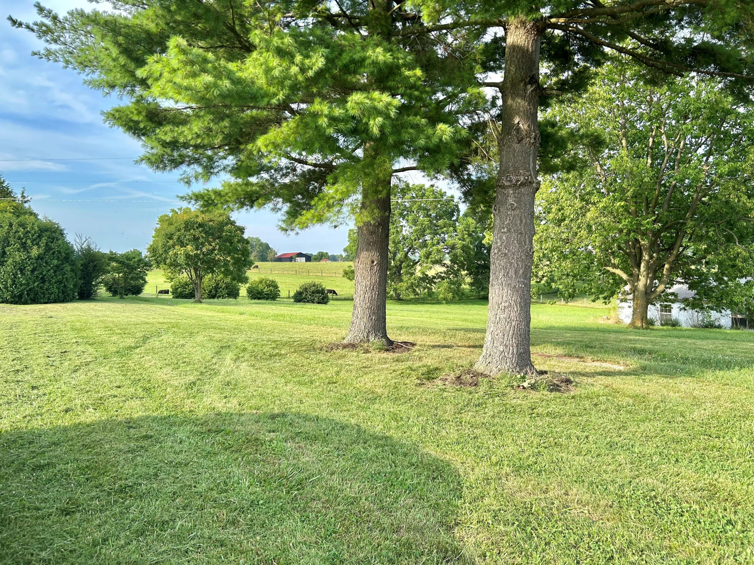 Property Photo:  1132 Lucas Lane  KY 40601 
