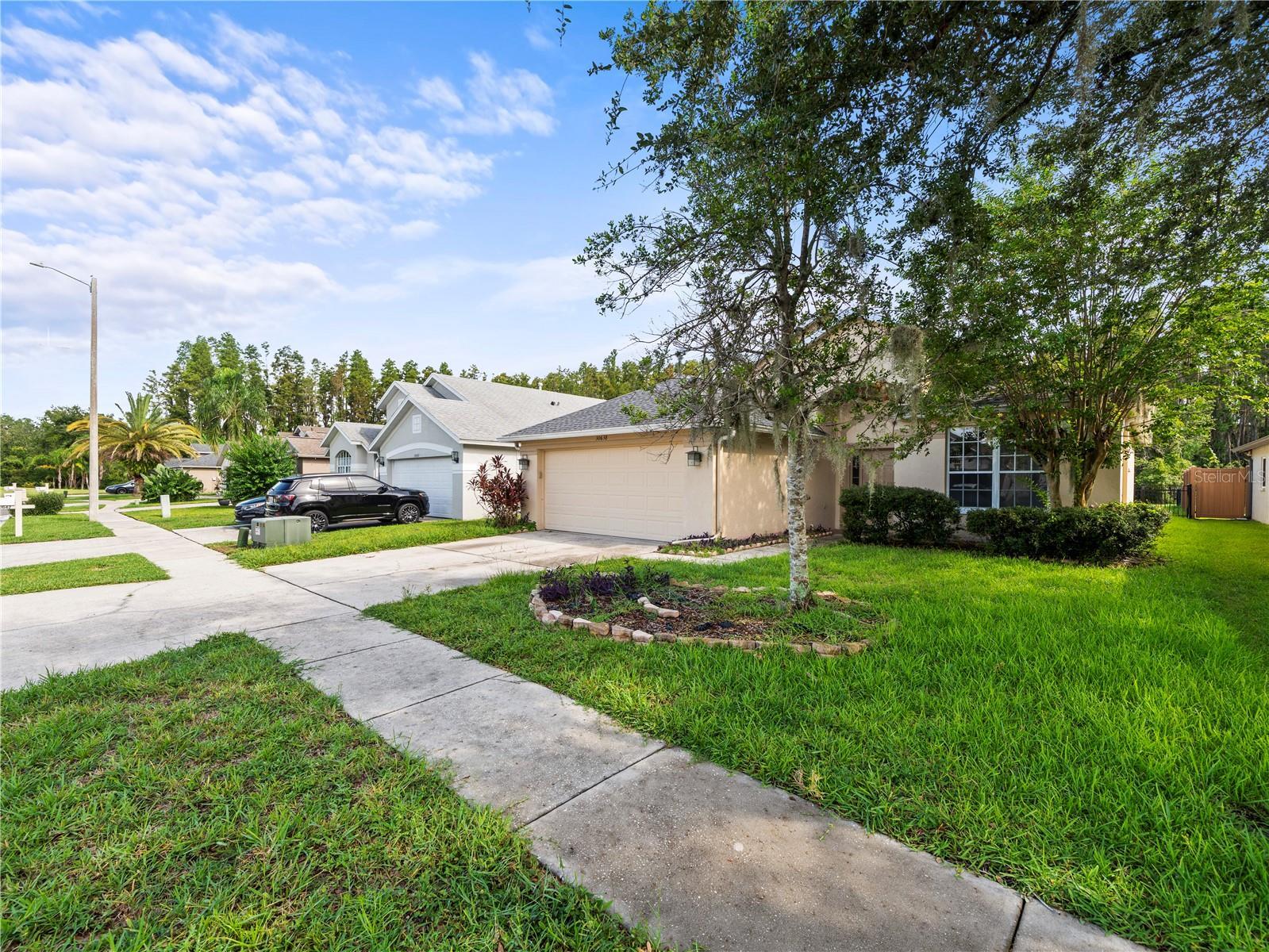 Property Photo:  30638 Nickerson Loop  FL 33543 