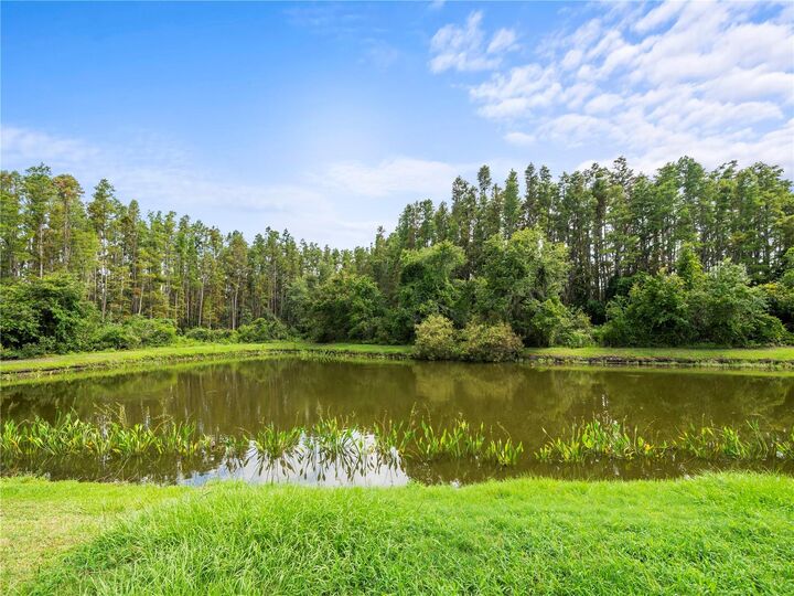 Property Photo: 30638 Nickerson Loop FL 33543