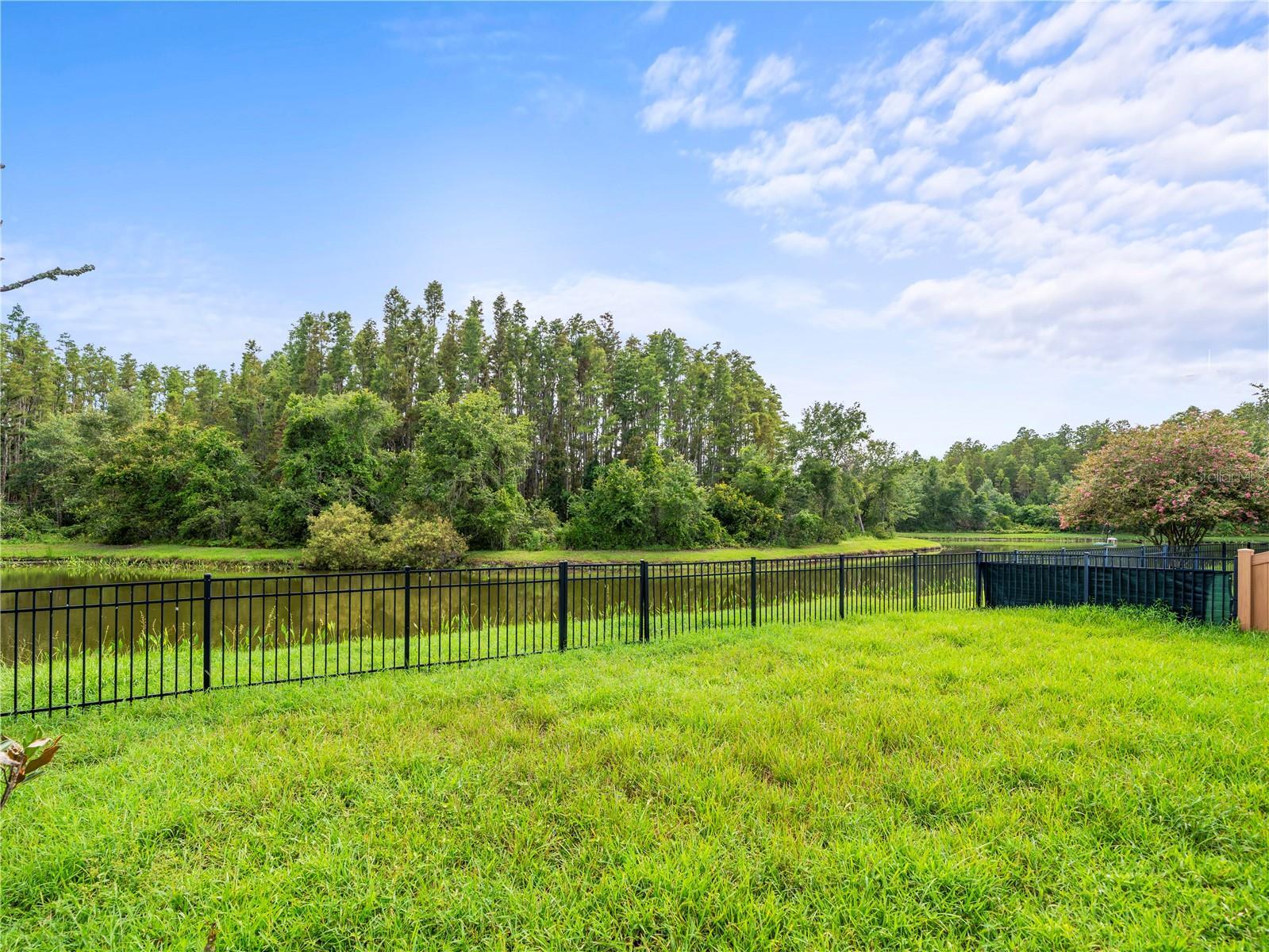 Property Photo:  30638 Nickerson Loop  FL 33543 